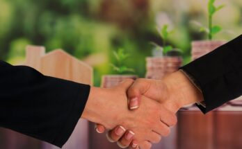 Investors in Real Estate Investment